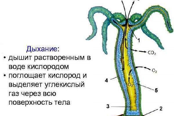 Наркоплощадки кракен