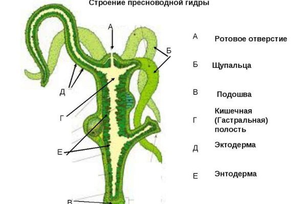 Кракен ссылки тор рабочая